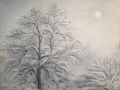 Hiver - PAYSAGES 1
