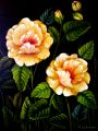 roses oranges - FLEURS