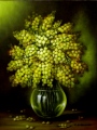 mimosa - FLEURS