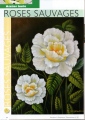 DESSINS & PEINTURES N°30 - articles de journaux