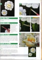 DESSINS & PEINTURES N°30 - articles de journaux